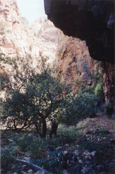 Gola di Is Cioffus (Sulcis-Sardegna)